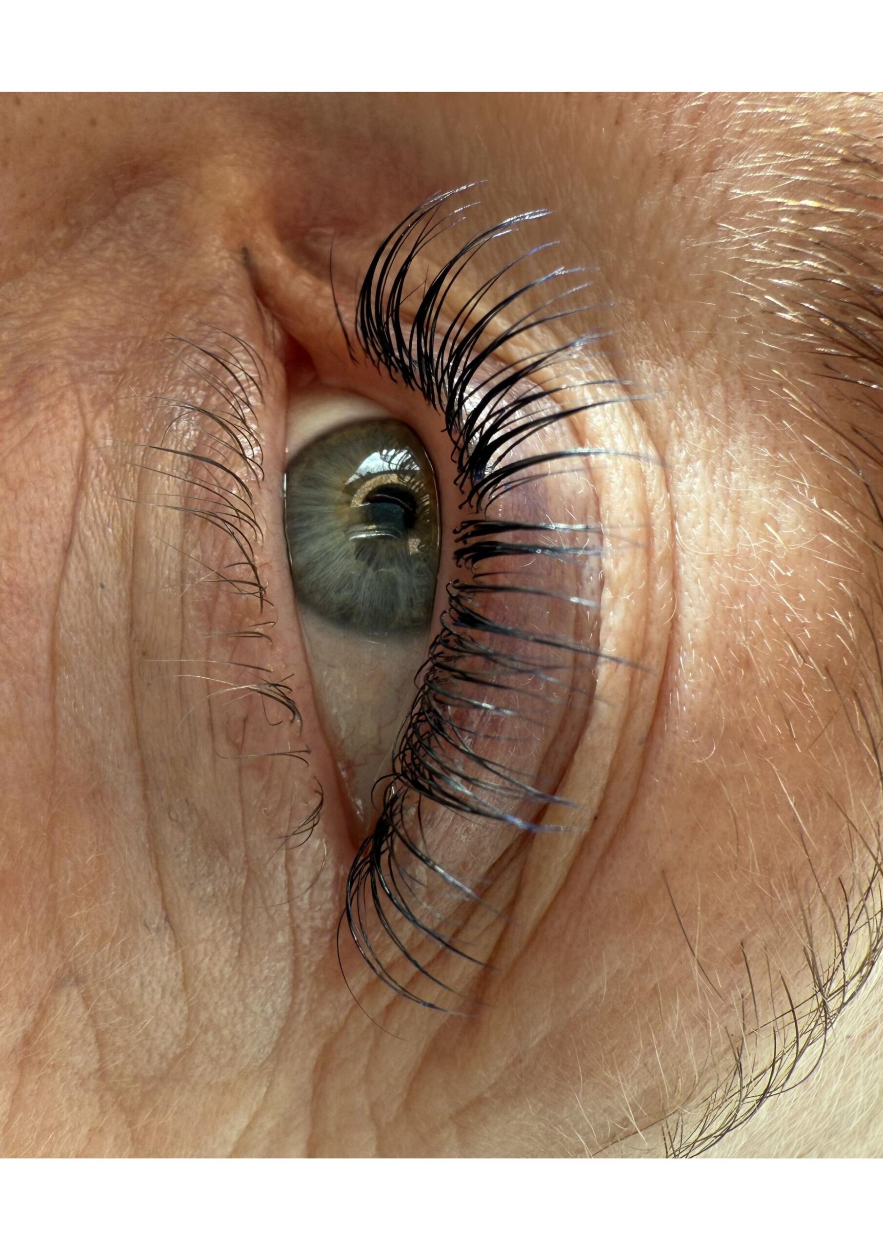 Lashlifting Slider